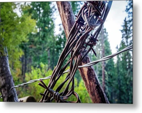 what-the-gate-remembers-barbed-wire-detail-angel-fire-new-mexico-fine-art-photography-robert-niemeier.jpg