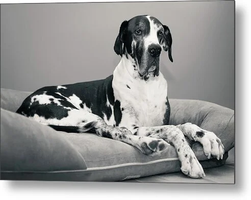 Still With Me, fine art photograph by Robert Niemeier, full view