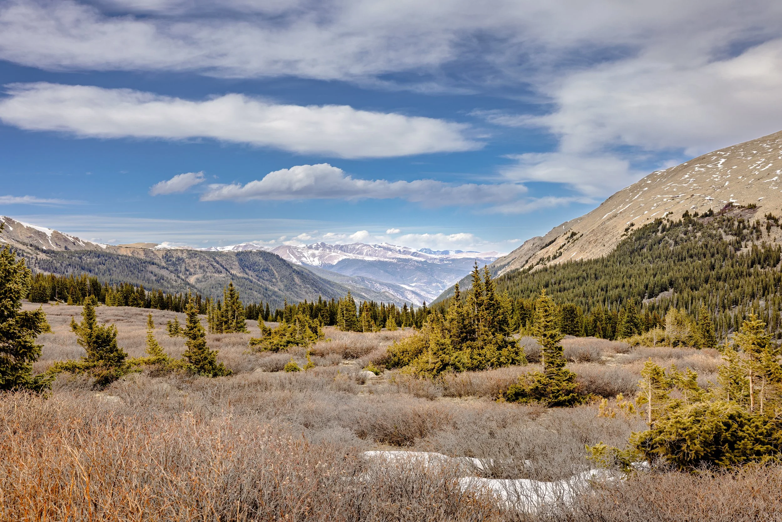 A scenic mountain landscape with a blue sky, white clouds, snow-capped peaks in the distance, and forested slopes with evergreen trees in the foreground.