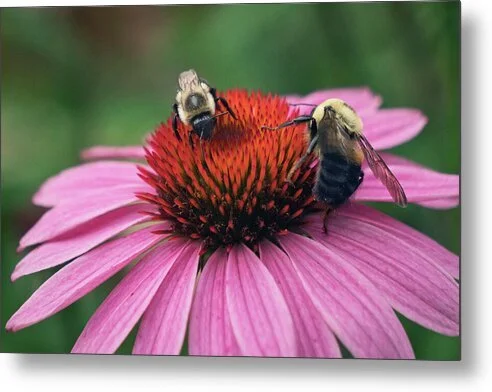 Room for Two, fine art photograph by Robert Niemeier, full view