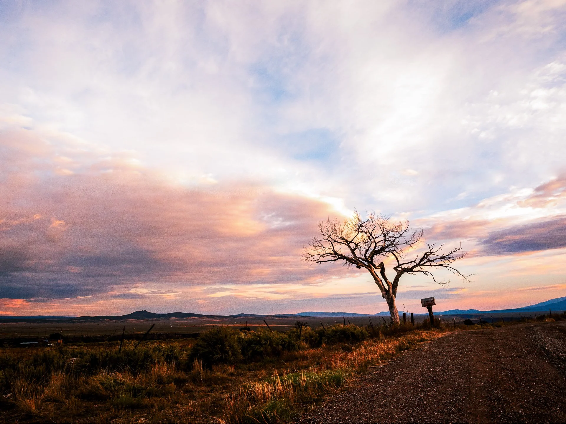The Long Goodbye (Panorama)