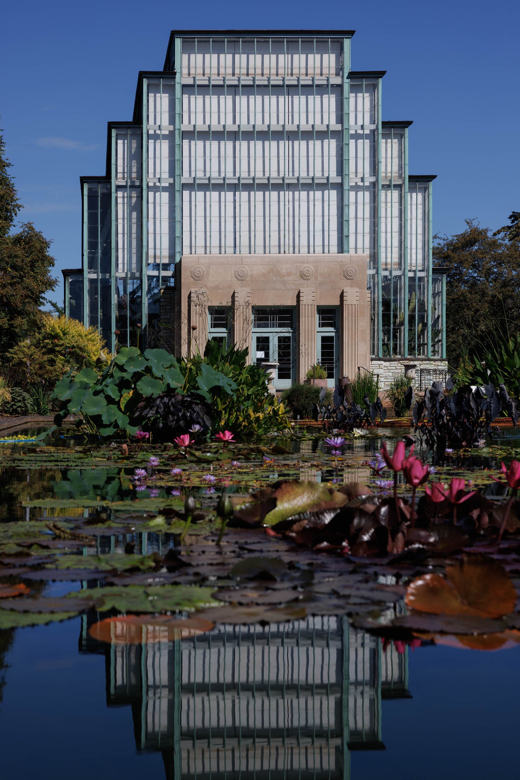 Blue sky and green lily pads frame the Jewel Box in Forest Park, St. Louis, with pink water lilies and the stepped glass façade reflected in the pond.
