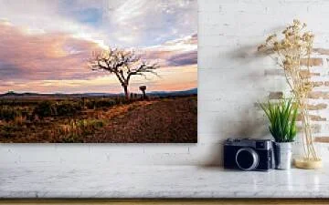the-last-goodbye-taos-welcome-tree-dusk-photograph-robert-niemeier (1).jpg
