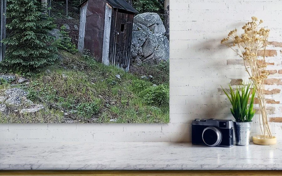 Occupied, close-up detail of the fine art print above a marble ledge with a camera and a plant