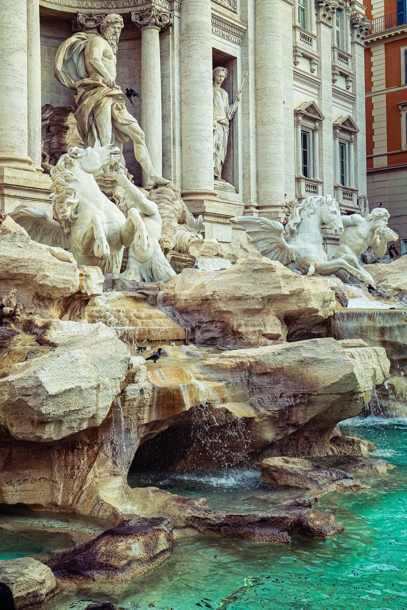 Vertical photograph of Rome's Trevi Fountain, showing Oceanus and sea horse sculptures with small birds resting at the water's edge.