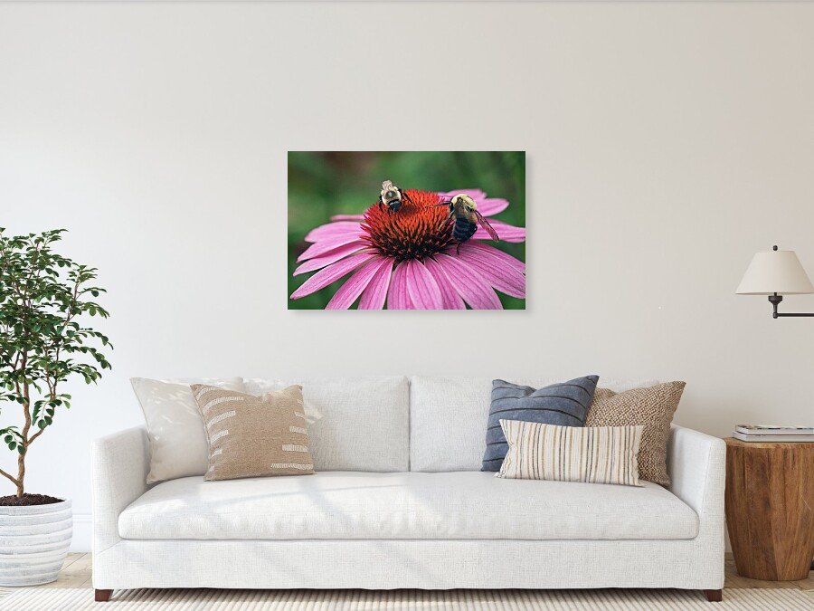 Room for Two fine art print framed above a sofa in a living room