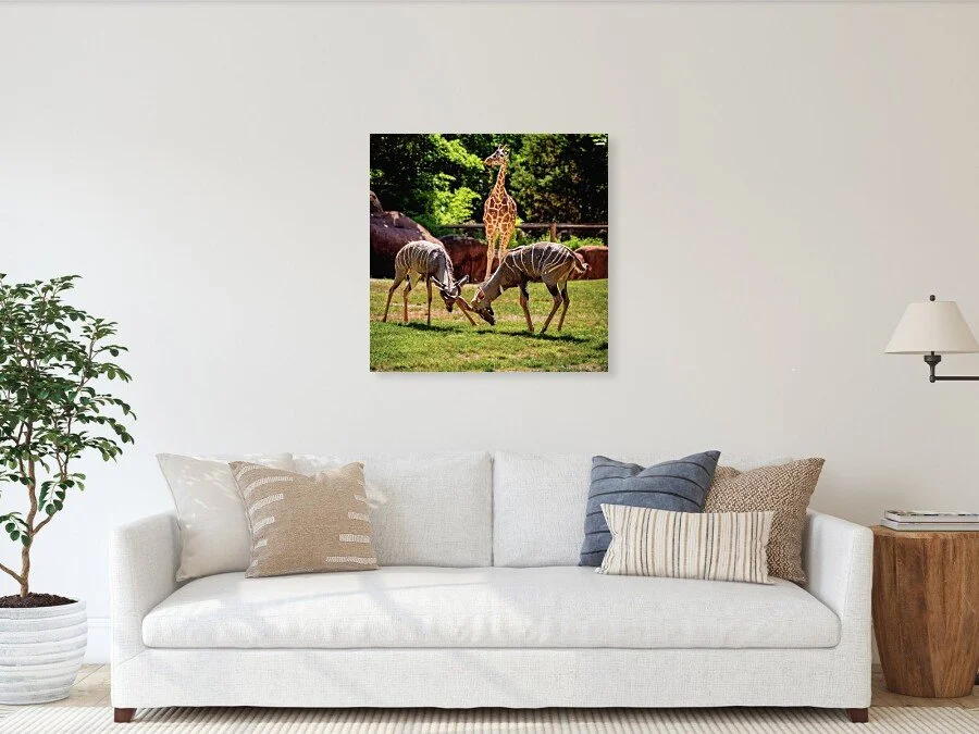 Brothers fine art print framed above a sofa in a living room