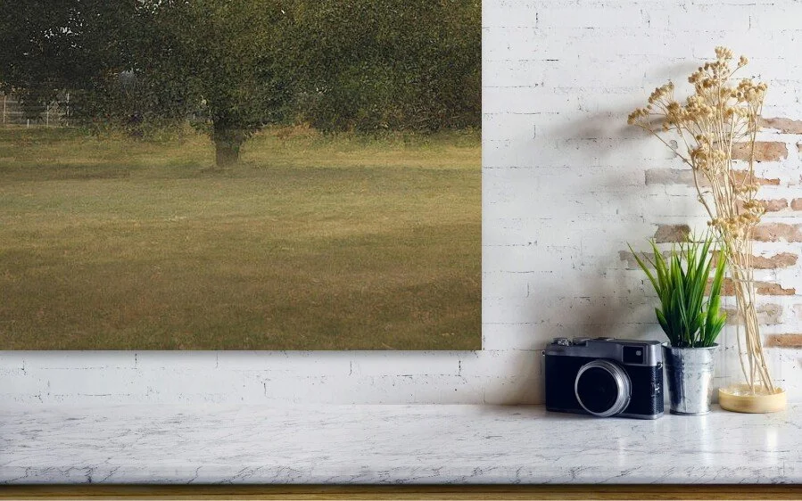 Detail: One Tree, Many Mornings, close-up detail of the fine art print above a marble ledge with a camera and a plant