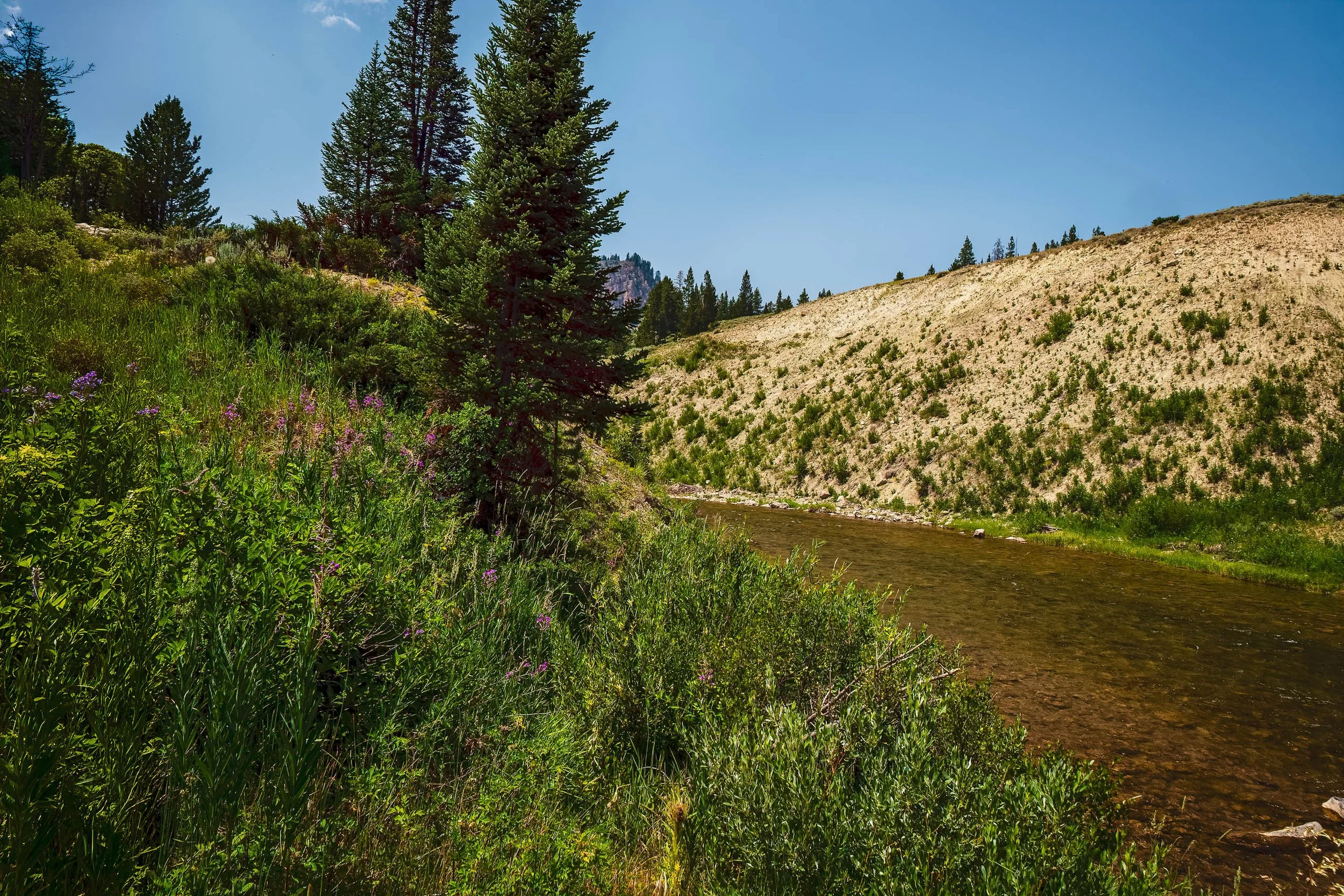 Where the Water Runs Clear