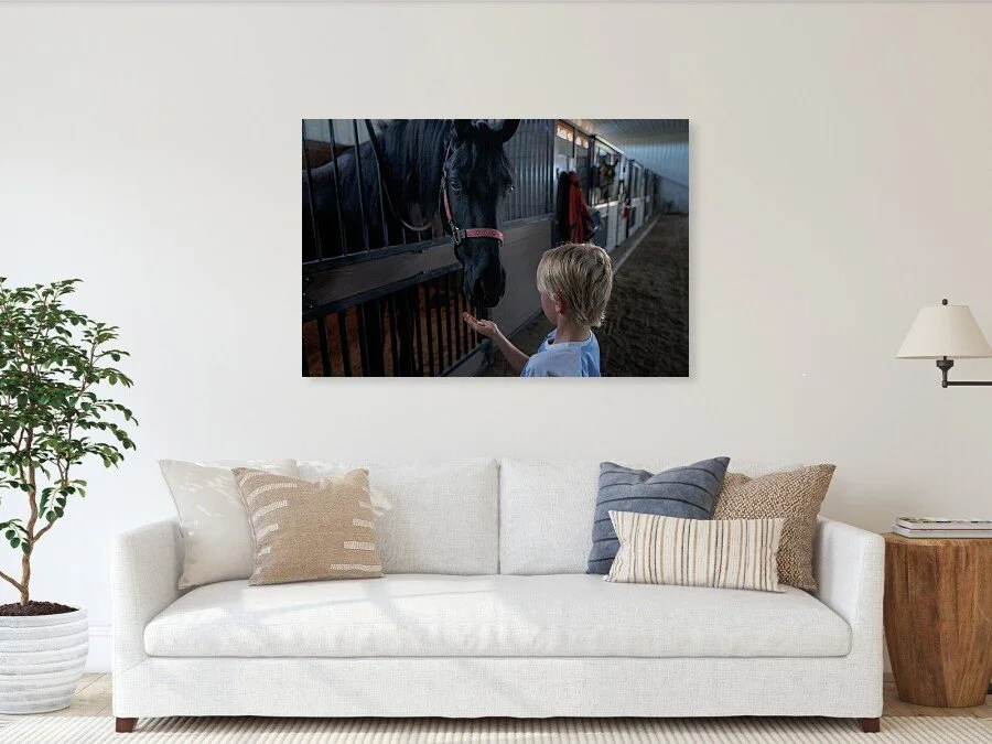 horse-and-child-in-barn-quiet-equine-connection-photography-robert-niemeier (1).jpg