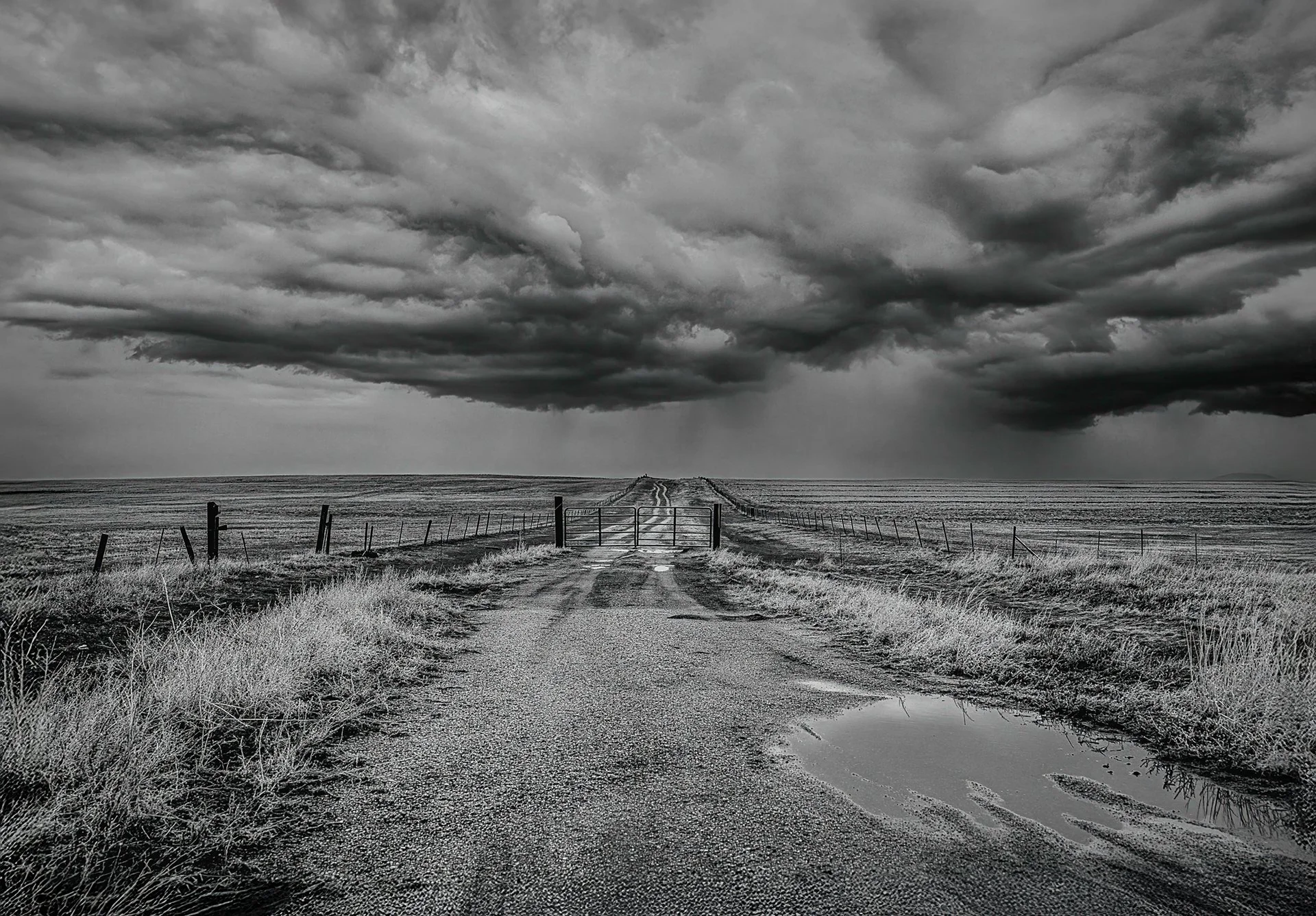 Storm Gate