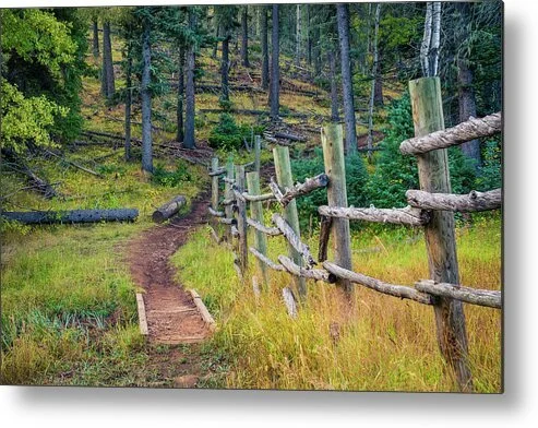 elliot-barker-trail-angel-fire-new-mexico-forest-trail-and-fire-mitigation-fine-art-photography-robert-niemeier.jpg