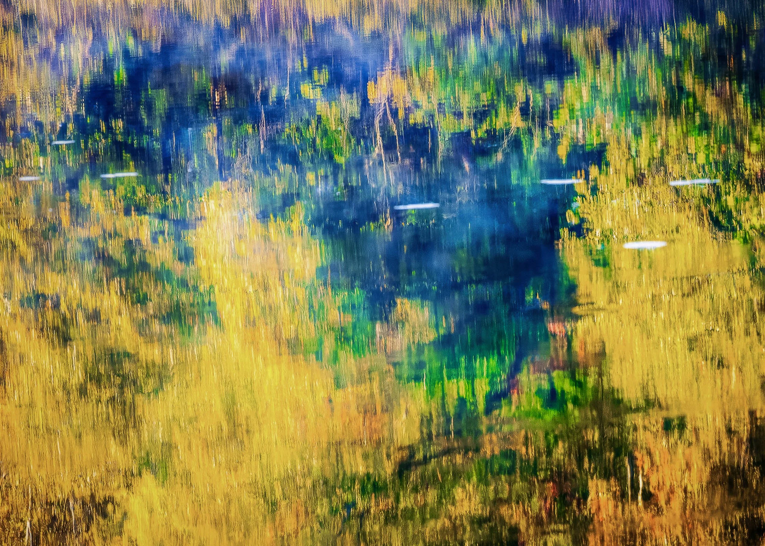 Reflections of Fall