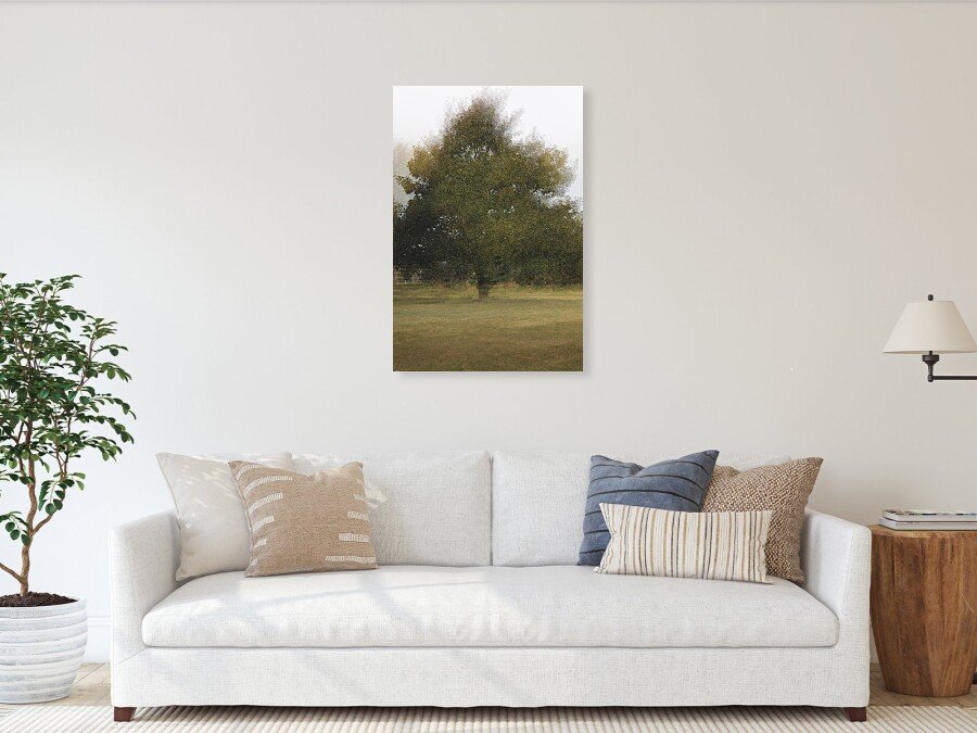 Sofa: One Tree, Many Mornings fine art print framed above a sofa in a living room