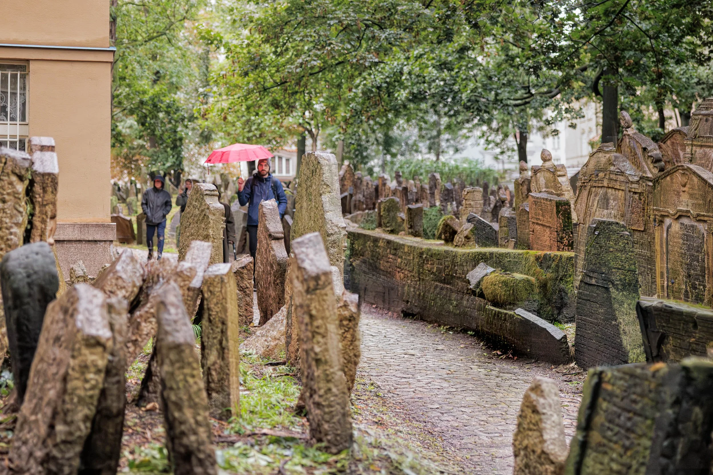 Visitor carrying a red umbrella walks through Prague's historic Jewish Cemetery surrounded by leaning tombstones and rain-softened light.