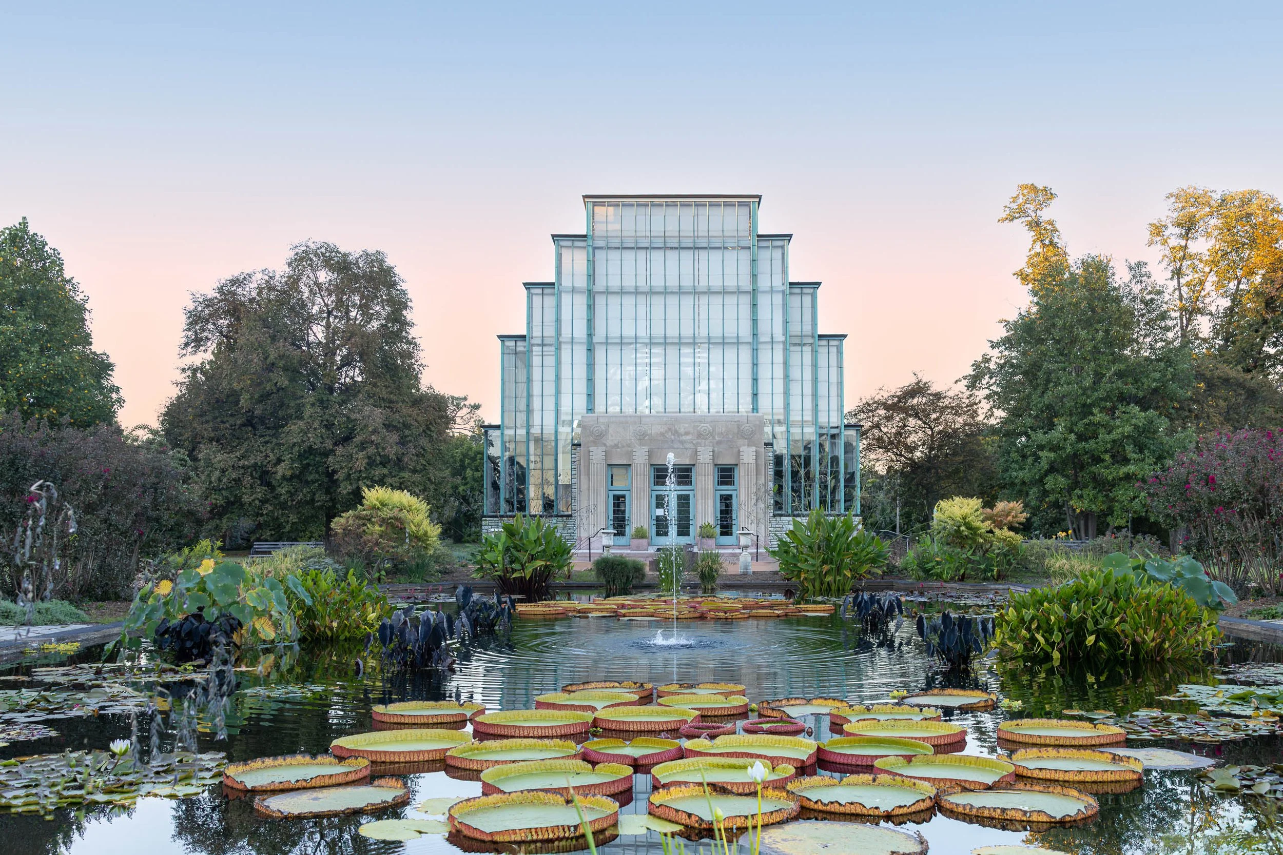Held in Afterglow, fine art photograph of the Art Deco Jewel Box conservatory in Forest Park, St. Louis, at dusk, its stepped glass facade glowing above a fountain and giant Victoria water lilies.