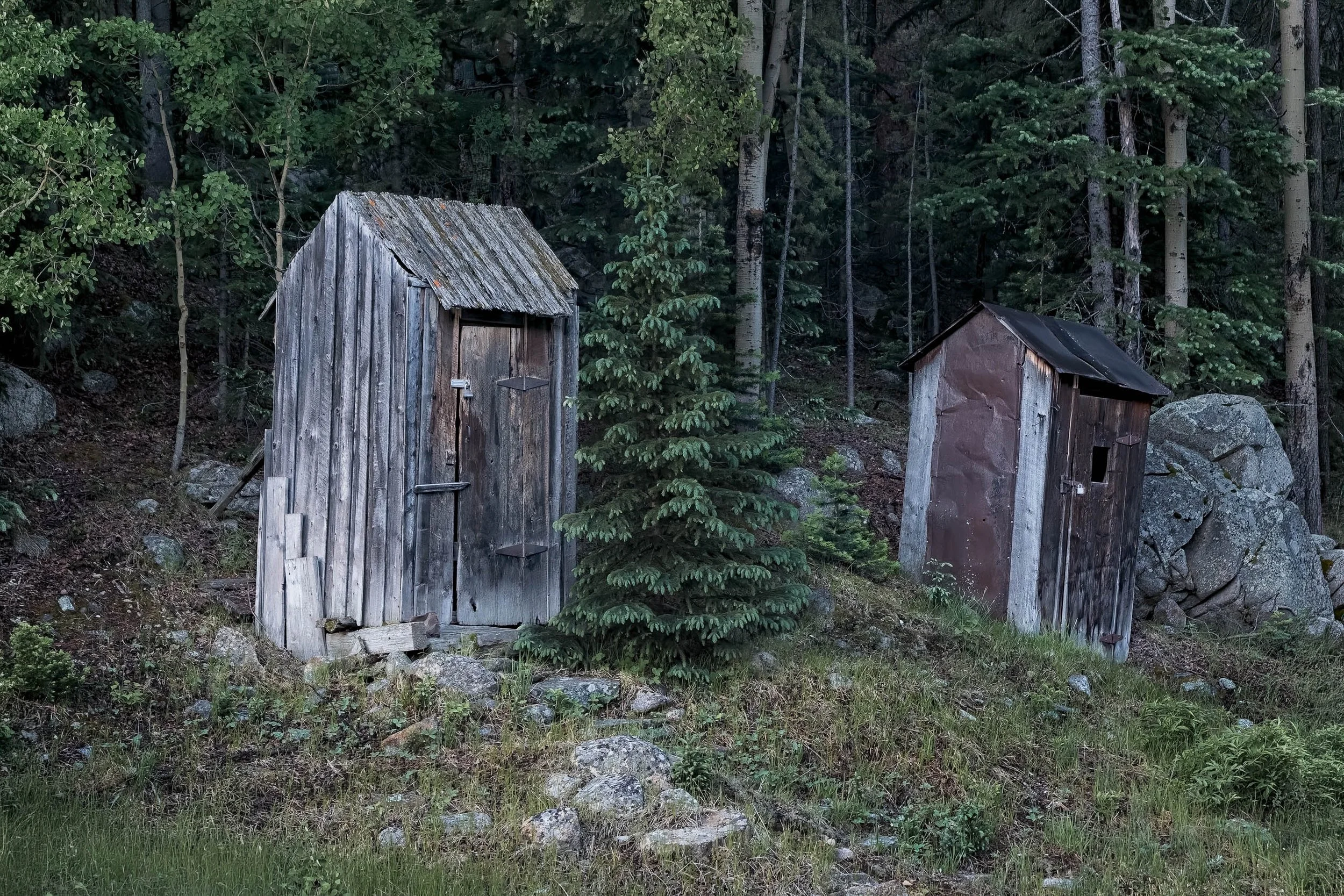 Two padlocked outhouses, gray plank and rust-red metal, beside a green spruce in an aspen forest, St. Elmo, Colorado