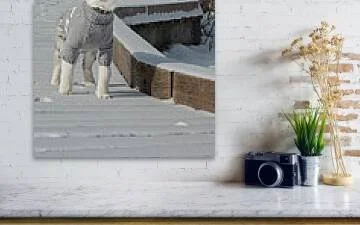 Dressed for Winter, close-up detail of the fine art print above a marble ledge with a camera and a plant