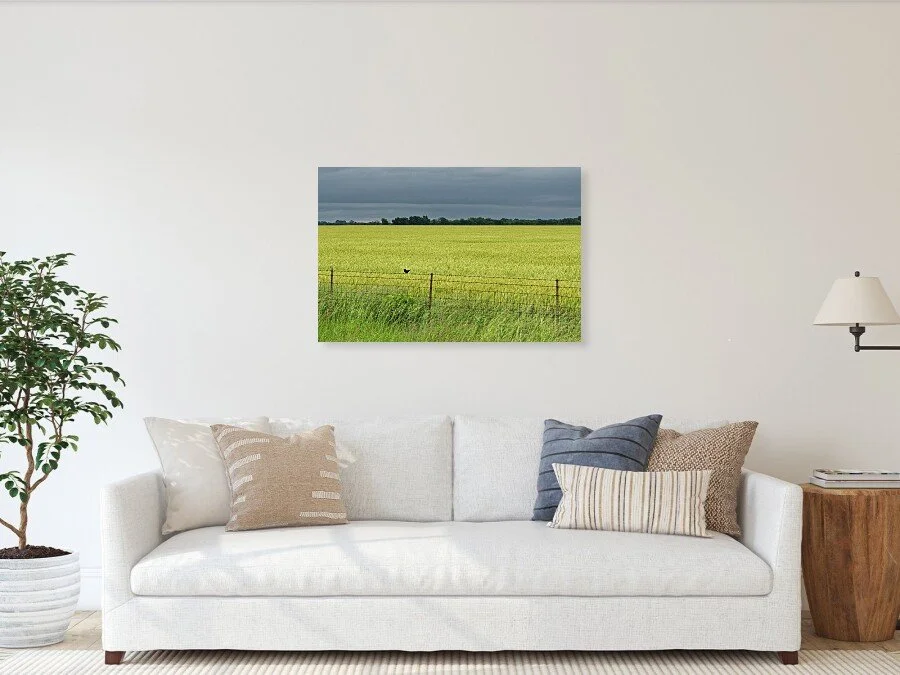 Green Before the Gold fine art print framed above a sofa in a living room