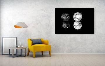 blowing-foul-black-and-white-baseball-fine-art-photography-robert-niemeier.jpg