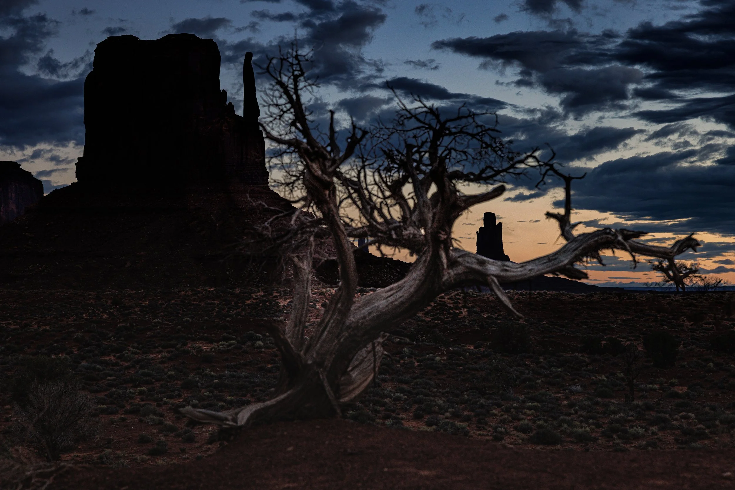 The Last Sentinel