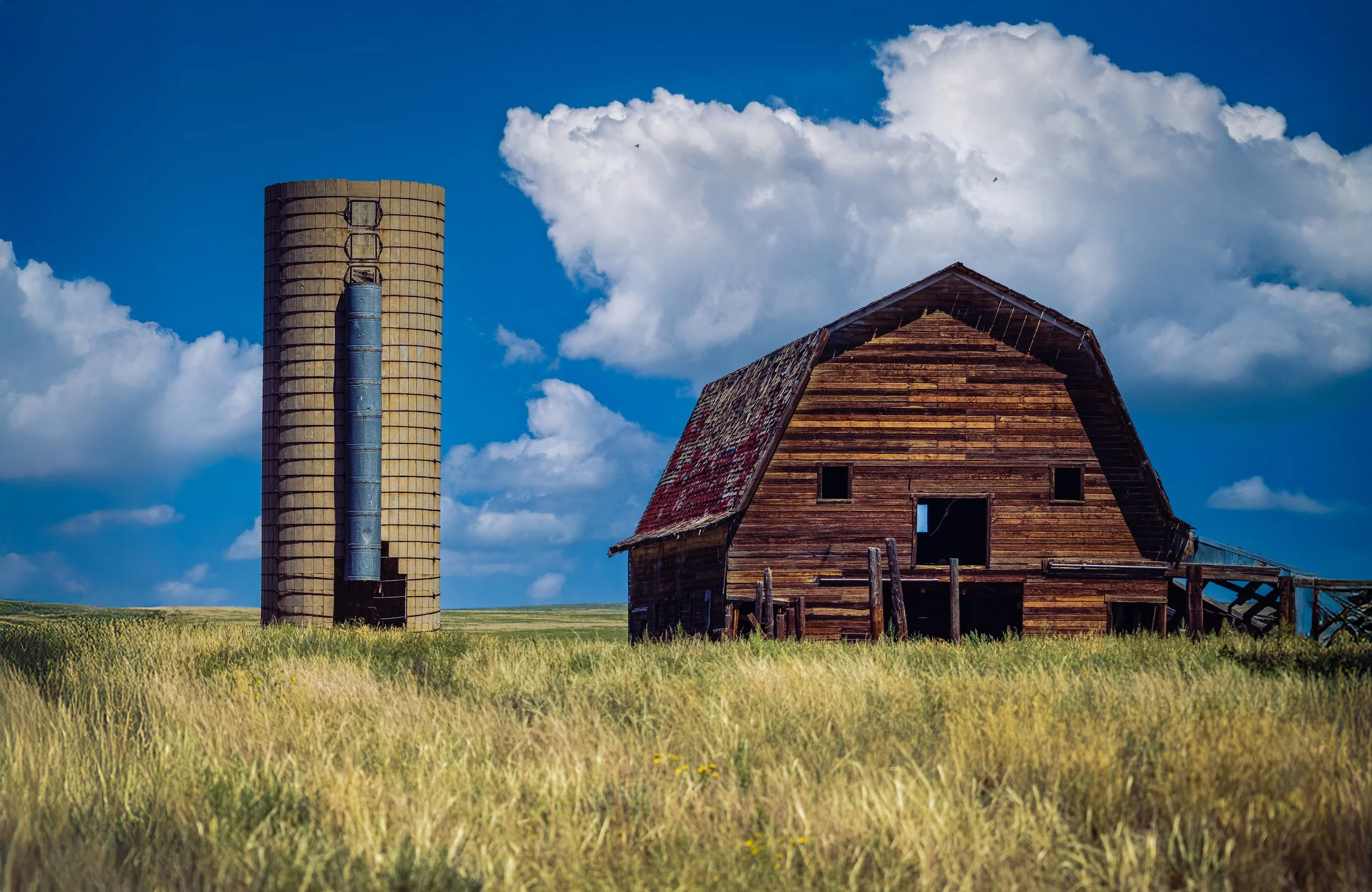 Vibrant color photography of the open plains, featuring a high-contrast horizon and expansive, atmospheric sky.