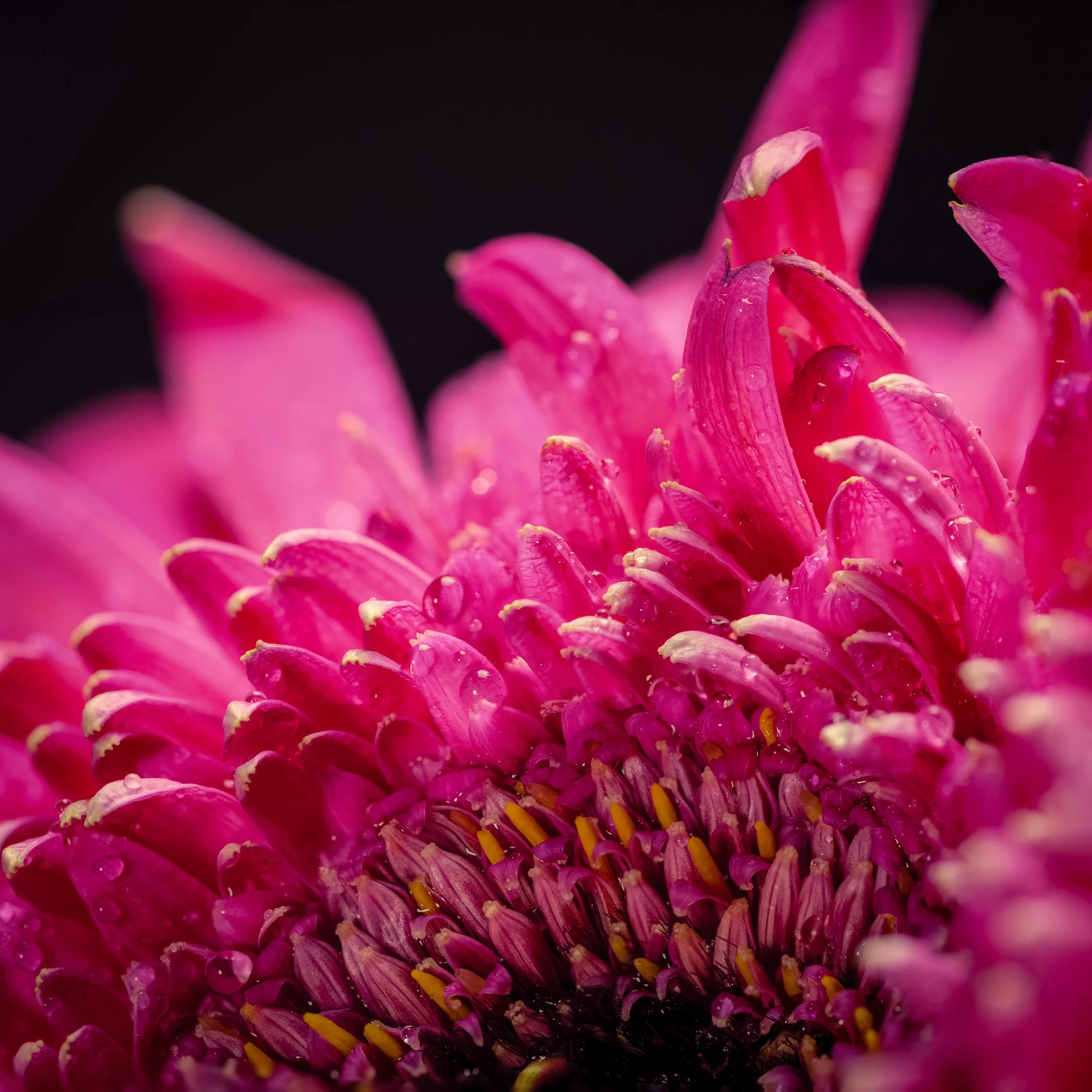 Unfolding_Light-PANA6167-Edit-Edit-Edit.jpg