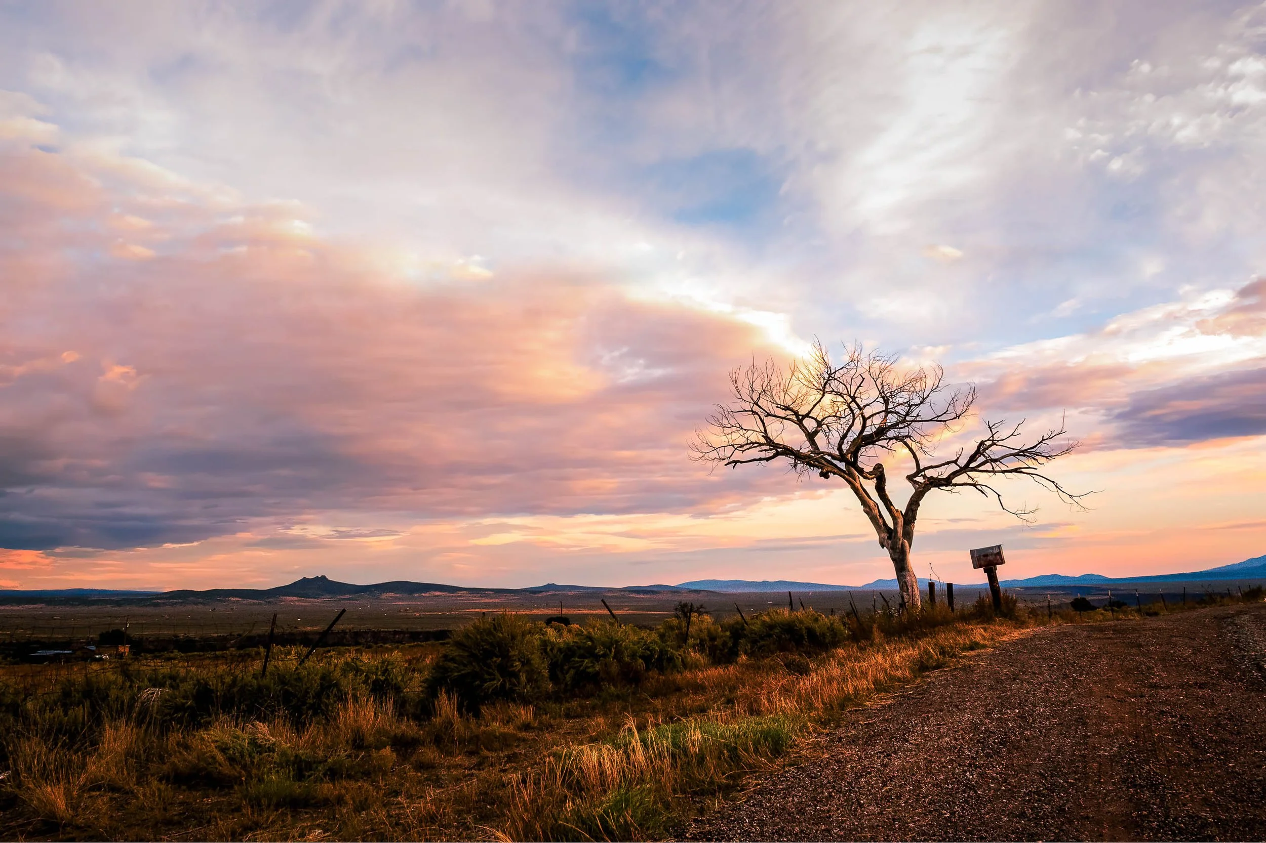 PANA29603-2_The Long Goodbye_Wyeth-Edit-Edit-Edit.jpg