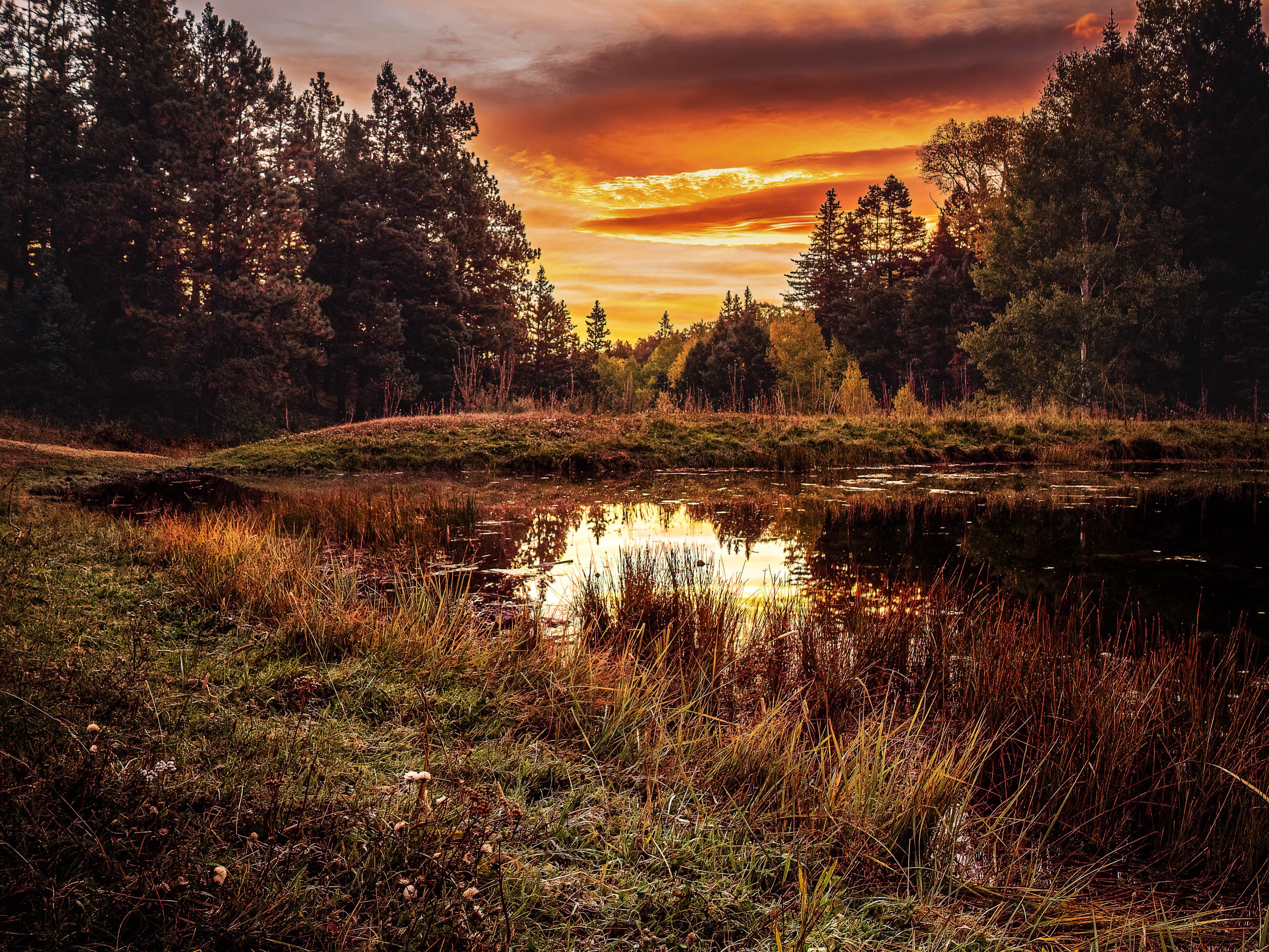 Old cattle pond reflecting a colorful sunset near Angel Fire, New Mexico.