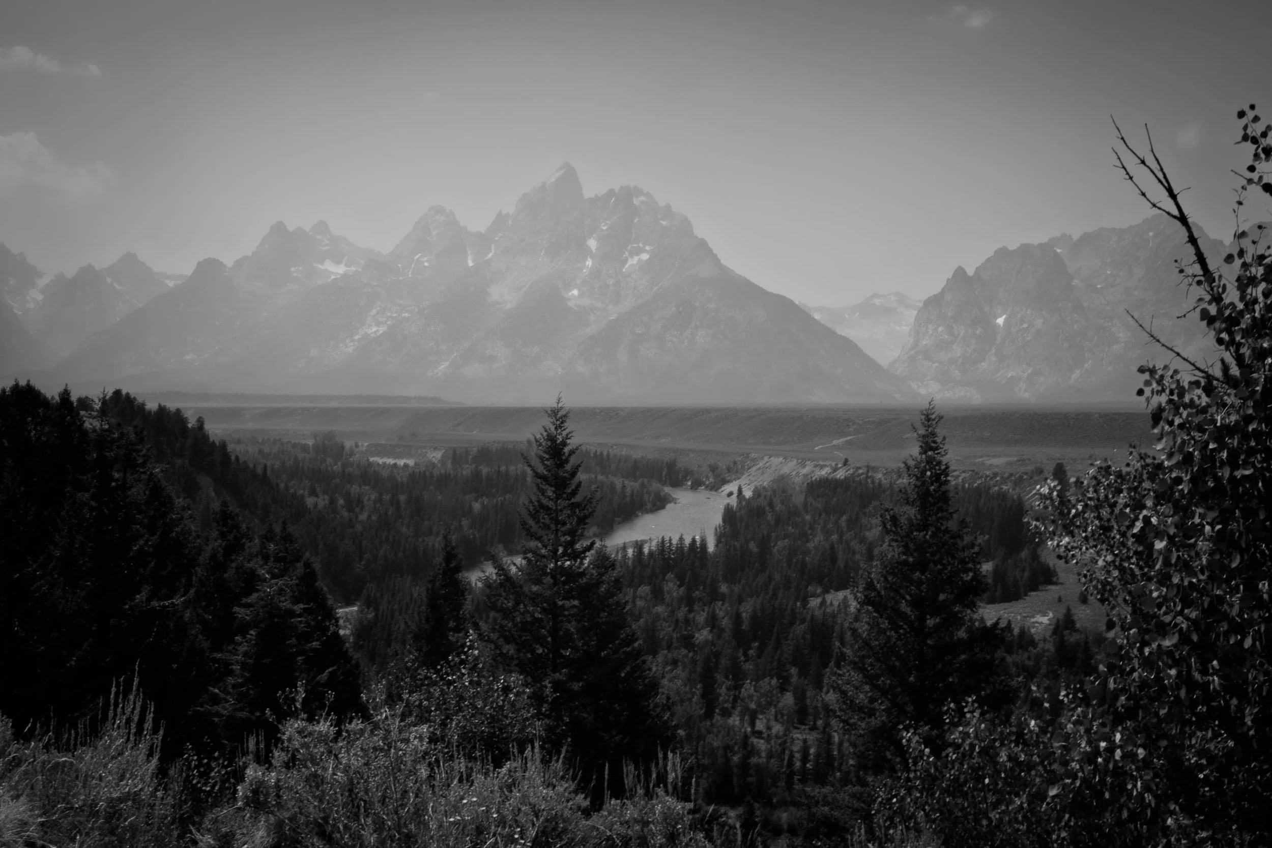Black and white photograph of the Grand Teton mountains seen through wildfire smoke haze above a winding river, with pine trees framing the foreground