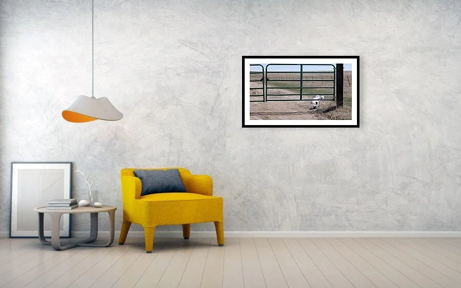 she-knows-a-way-clever-ranch-dog-under-gate-fine-art-photograph-robert-niemeier.jpg