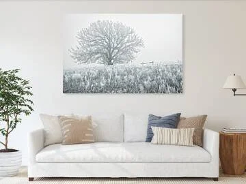 hoarfrost-kansas-frost-tree-in-ice-fog-robert-niemeier-5.jpg