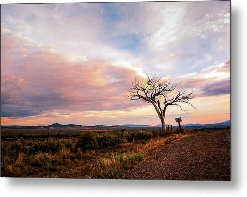 the-last-goodbye-taos-welcome-tree-dusk-photograph-robert-niemeier.jpg