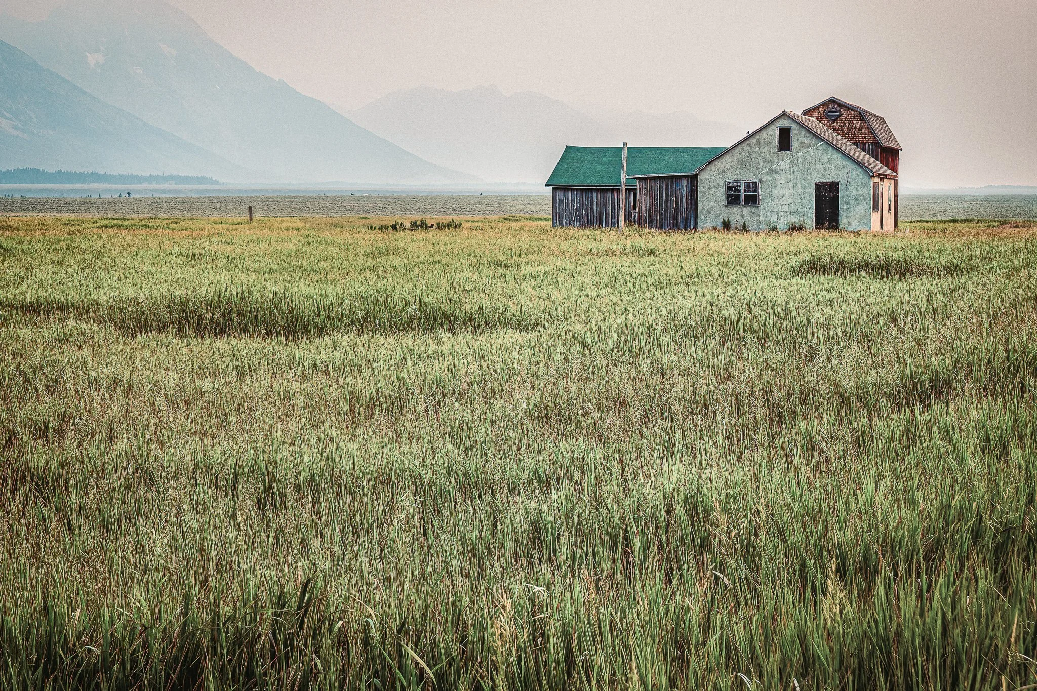 Between Us, The Field