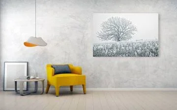 hoarfrost-kansas-frost-tree-in-ice-fog-robert-niemeier-4.jpg