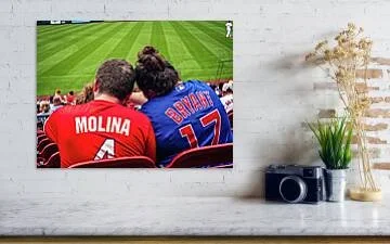 love-across-the-aisle-baseball-fans-in-stadium-seating-robert-niemeier.jpg
