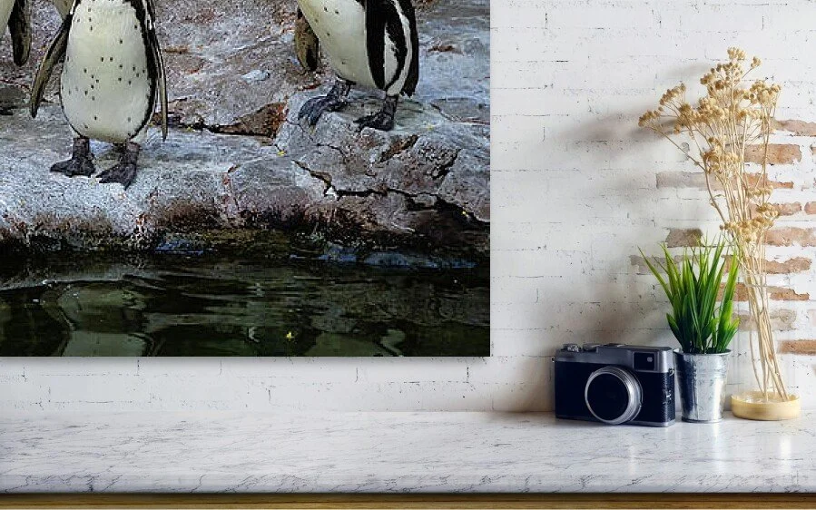 Eight Opinions (Panorama), close-up detail of the fine art print above a marble ledge with a camera and a plant