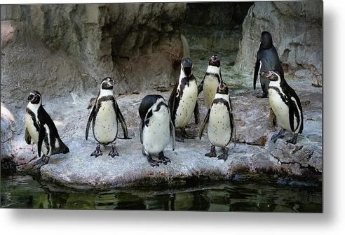 Eight Opinions (Panorama), fine art photograph by Robert Niemeier, full view