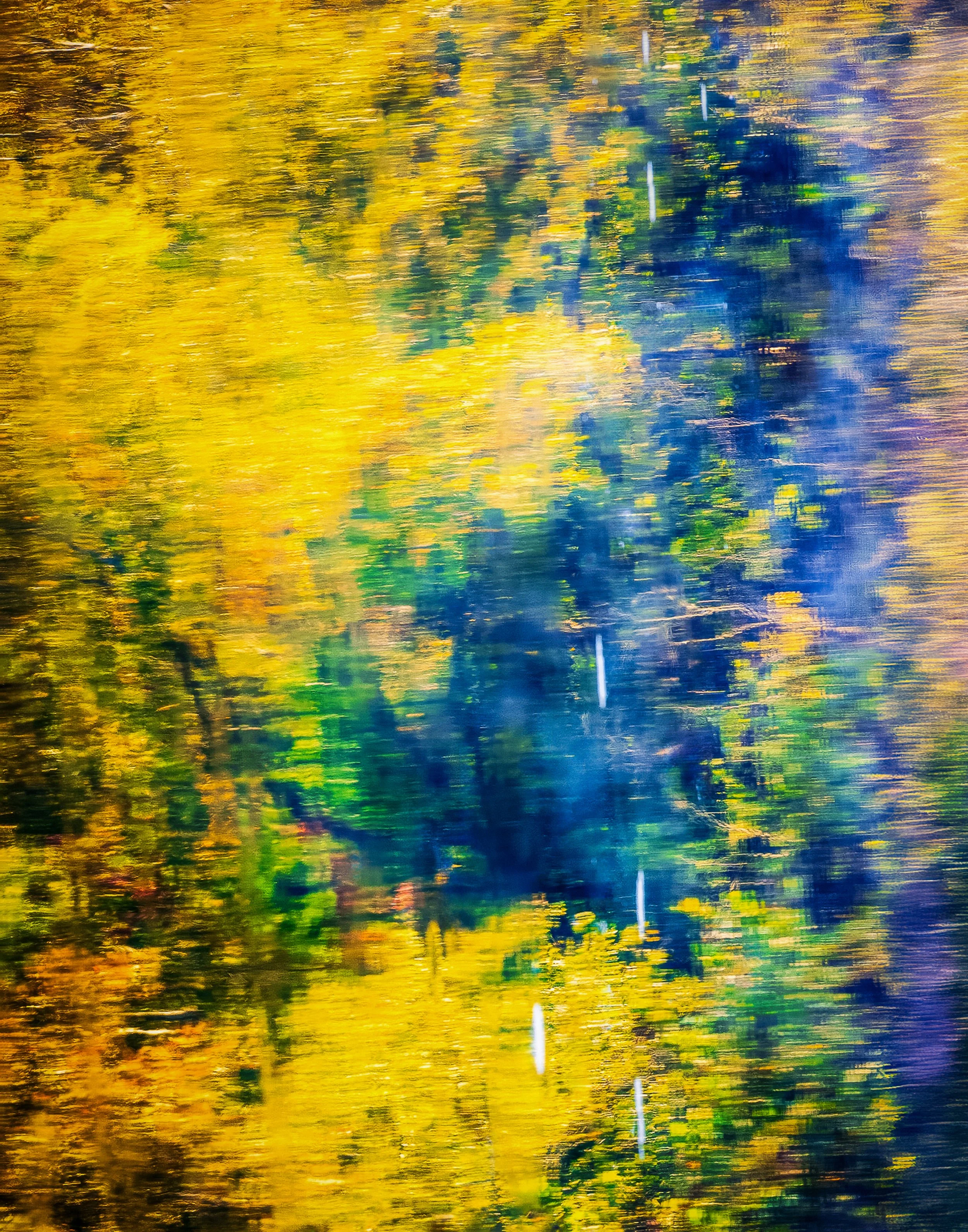 Reflections of Fall