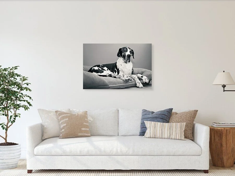 Still With Me fine art print framed above a sofa in a living room