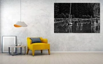 Black-and-white landscape photograph of weathered tree trunks and stumps rising from a still mountain pond, with their forms reflected in dark water against a forest background.