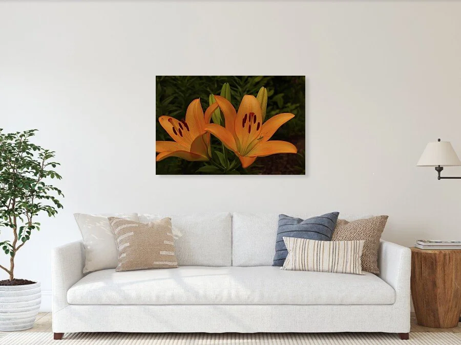 Tenants of the Lily fine art print framed above a sofa in a living room