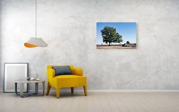 beneath-the-judgment-tree-robert-niemeier (2).jpg