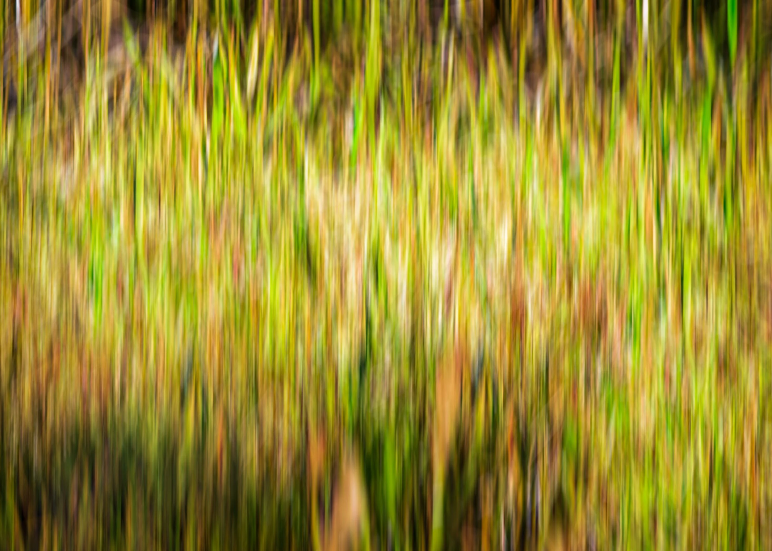 Woven Gold
