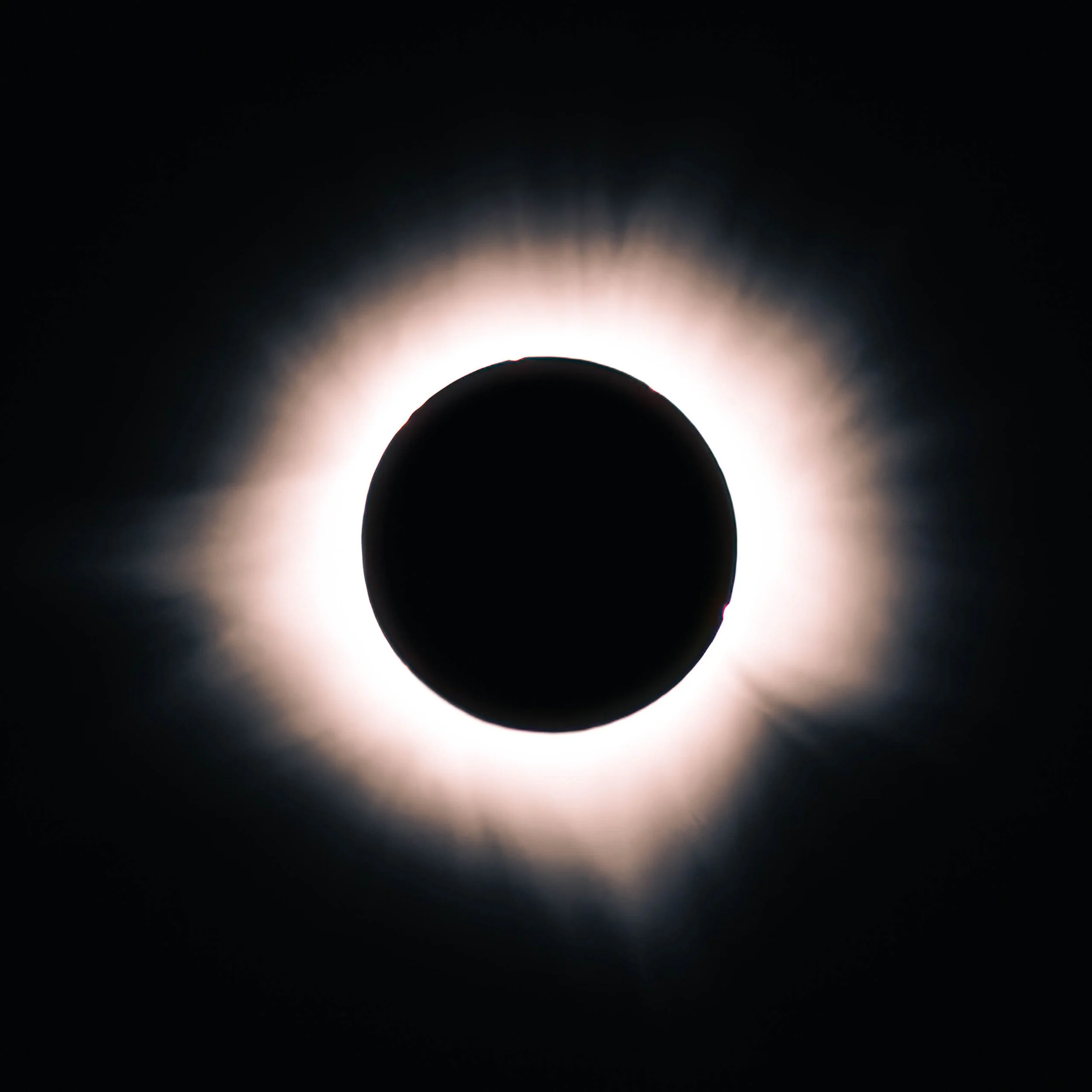 Solar corona at full totality, pearlescent streamers radiating outward, 2024 total solar eclipse, Du Quoin, Illinois.