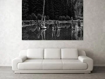 Black-and-white landscape photograph of weathered tree trunks and stumps rising from a still mountain pond, with their forms reflected in dark water against a forest background.