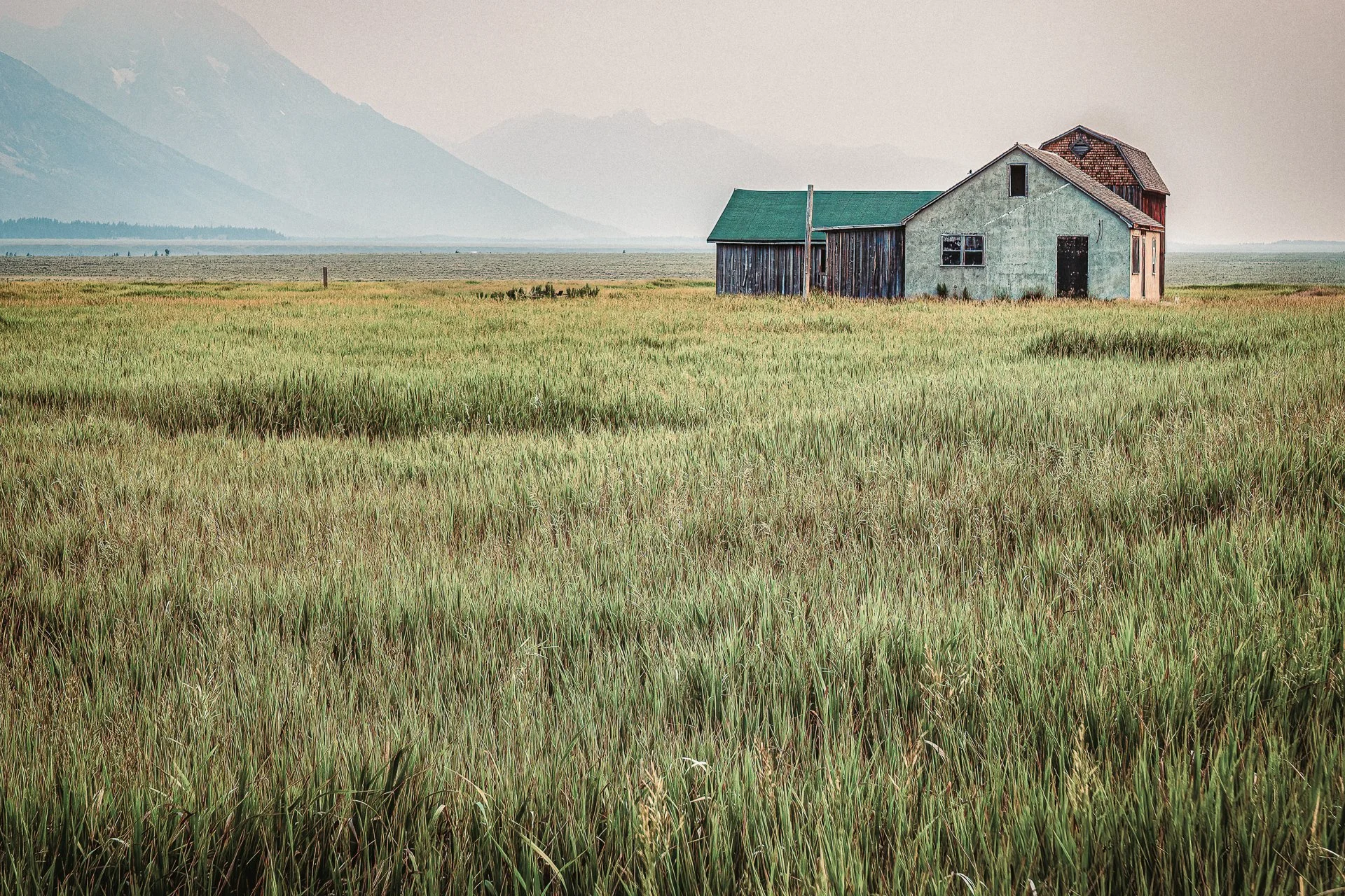 A small house in the Grand Teton area with a green roof and weathered wood walls sits in a vast field of tall grass, with mountains in the background under a hazy sky.