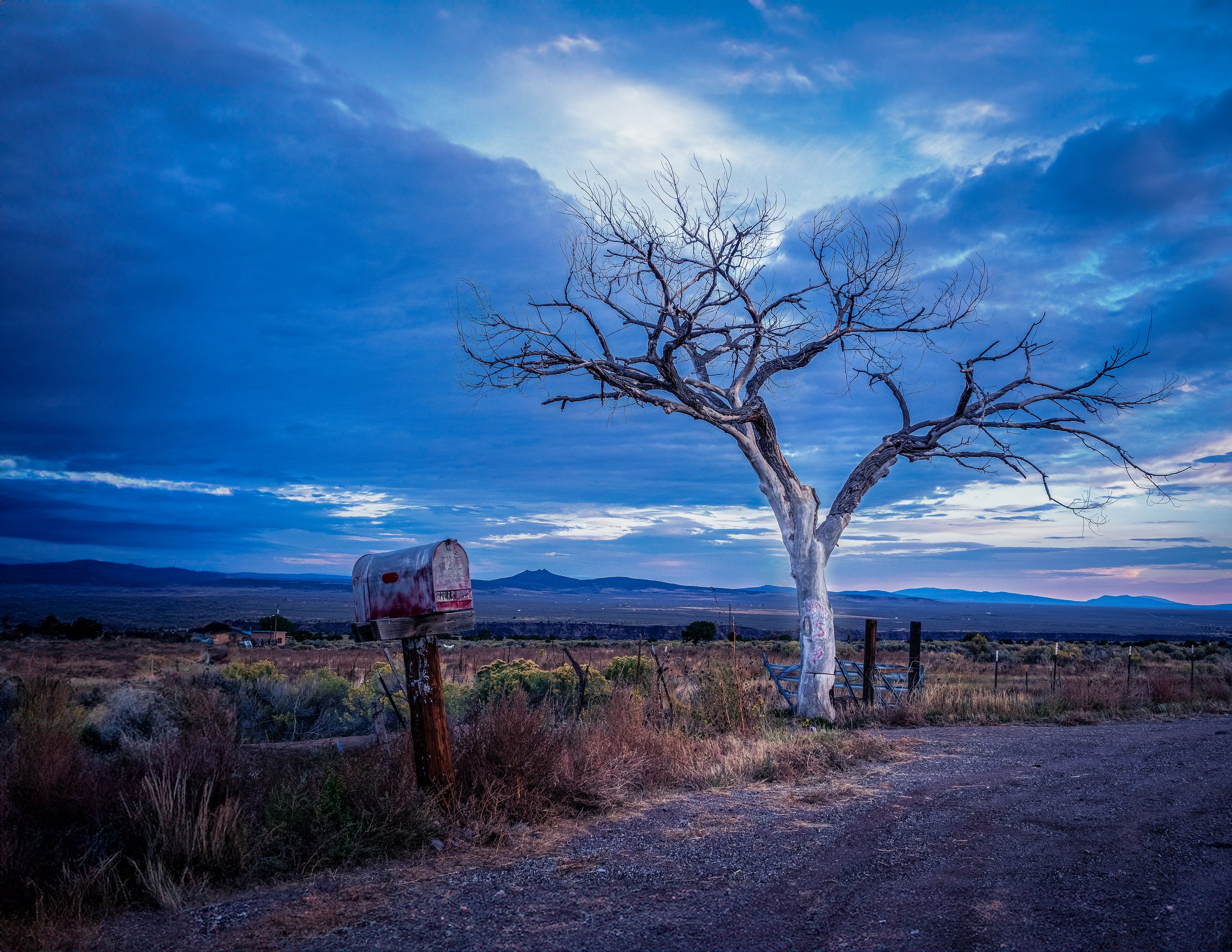 A moody, blue-hour landscape in New Mexico titled 'Where the Road Pauses.' The photograph features a solitary weathered mailbox and a skeletal desert tree against a deep blue twilight sky and distant mesa, captured in a quiet, tonalist style.