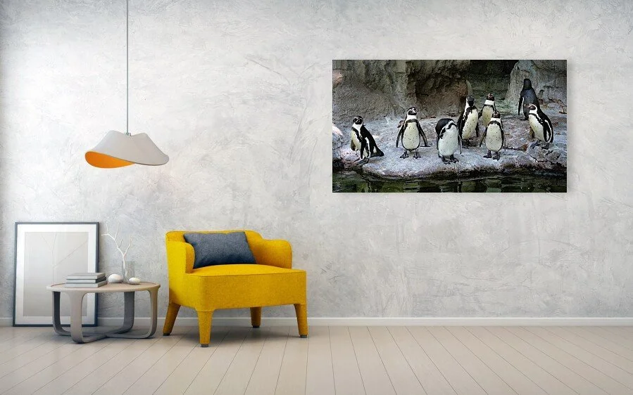 Eight Opinions (Panorama) fine art print displayed above a yellow chair and small table