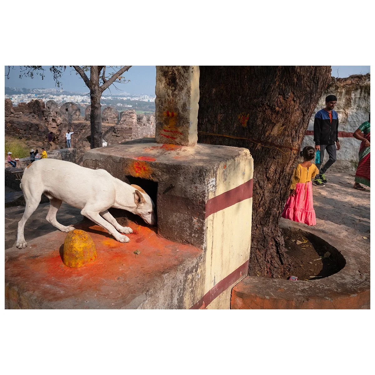 Greg Mo - India - 597.jpg